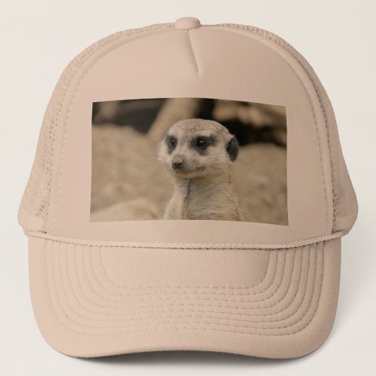 Casquette Meerkat (Devant)