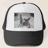 Casquette Meerkat (Devant)