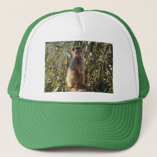Casquette Meerkat En Garde,