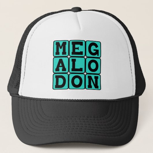 Casquette Mégalodon, espèce éteinte de requin (Devant)