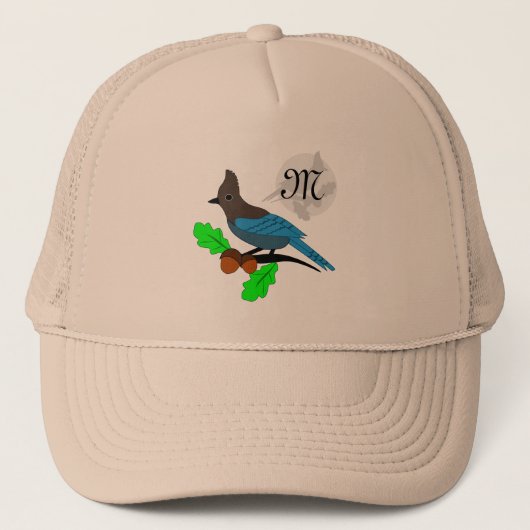 Casquette Metteur Blue Jay Monogram (Devant)