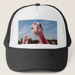 Casquette Mettez ma tête où ?