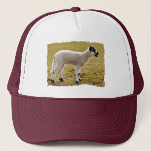 Casquette Mignon agneau noir et blanc bêlant