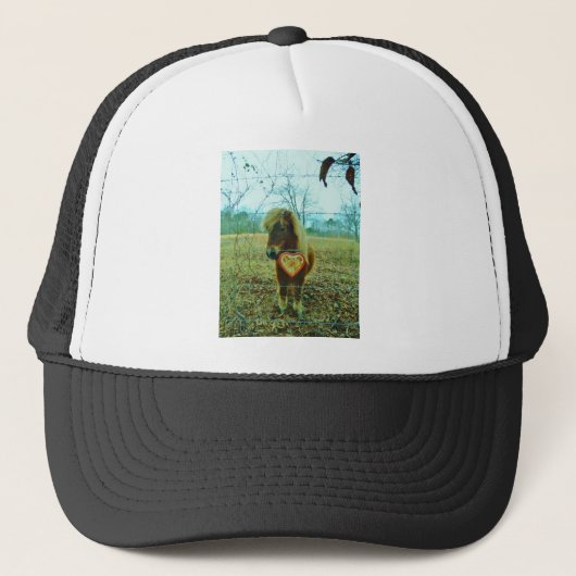 Casquette Miniature cheval Brown Valentine Heart (Devant)