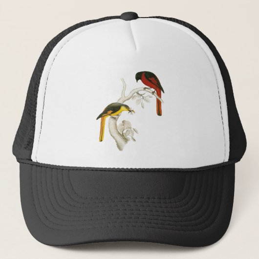 Casquette Minivet Court-affiché (Devant)