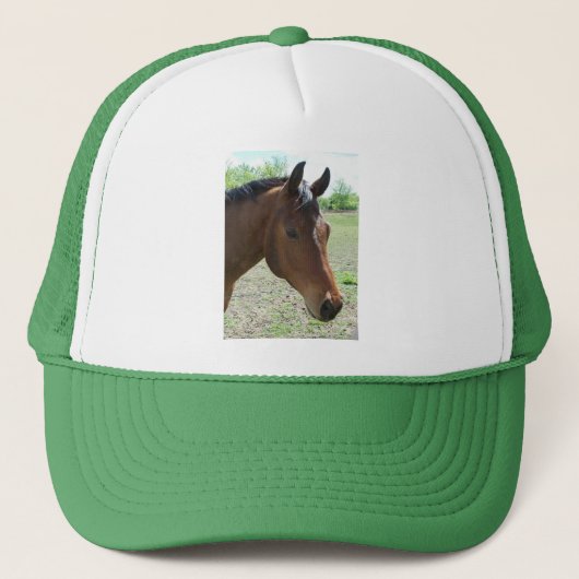 Casquette Mon Ami, Le Cheval (Devant)