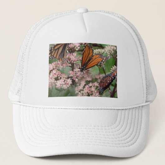 Casquette Monarque Butterflies (Devant)