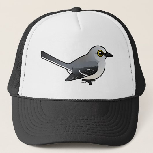 Casquette Moqueur du nord de Birdorable (Devant)
