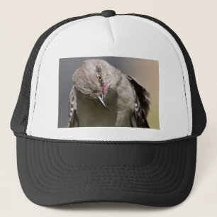 Casquette Moqueur polyglotte se Prosterne Vêtements & Cadeau