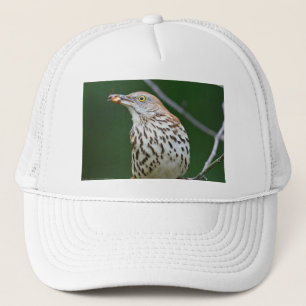 Casquette Moqueur roux avec vêtements Cadeaux de la pêche du