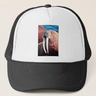Casquette Morse