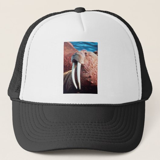 Casquette Morse (Devant)