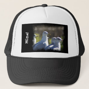 Casquette Mouette sur rail