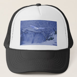 Casquette Moulton tombe esprit de hibou de Washington - de