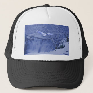 Casquette Moulton tombe esprit de hibou de Washington - de