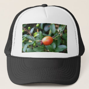 Casquette mûrir à la hanche rose