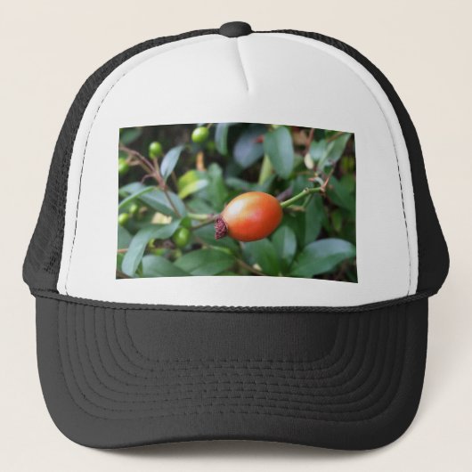 Casquette mûrir à la hanche rose (Devant)