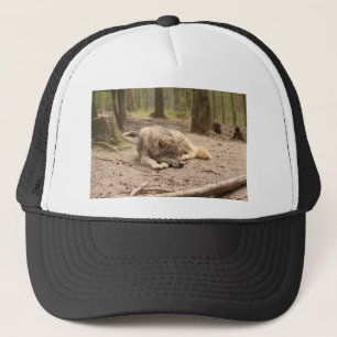 Casquette Nature sauvage de pays de loup d'amour animal de p