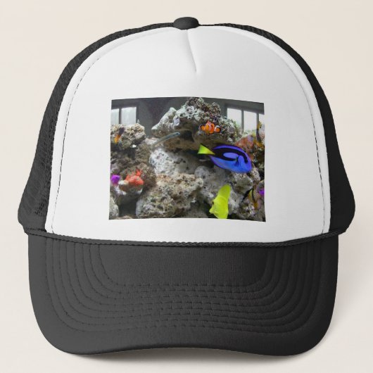 Casquette Nemo avec sa bande (Devant)