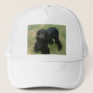 Casquette noir anglais cocker spaniel plein 2