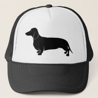 Casquette Noir sur le basset allemand blanc