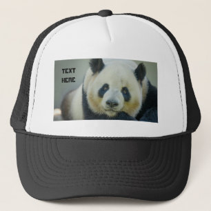 Casquette Noms de texte personnalisés mignons panda regardan