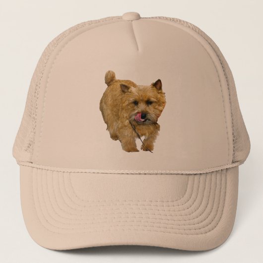 Casquette Norwich Terrier (Devant)