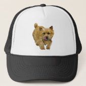 Casquette Norwich Terrier (Devant)