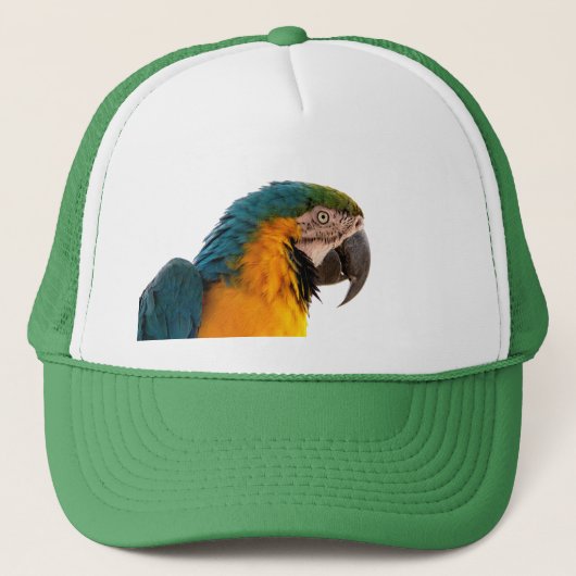 Casquette Notes post-it de perroquet (Devant)