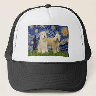 Casquette Nuit étoilée - Terriers Wheaten (deux)