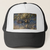 Casquette Nutria dans l'eau (Devant)