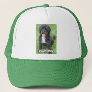 Casquette Obama, animal de compagnie/chien d'eau portugais