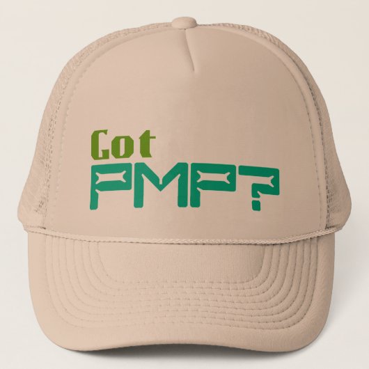 Casquette obtenu de PMP pour les chefs de projet (Devant)