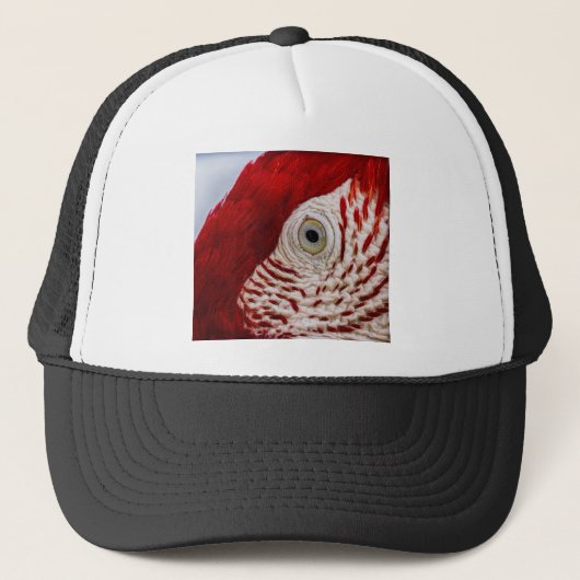 Casquette Oeil de perroquet (Devant)