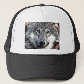 Casquette OEuvre Wolf Eyes (Devant)