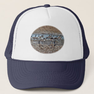 Casquette Oies du Canada sur le réservoir de Green Lane