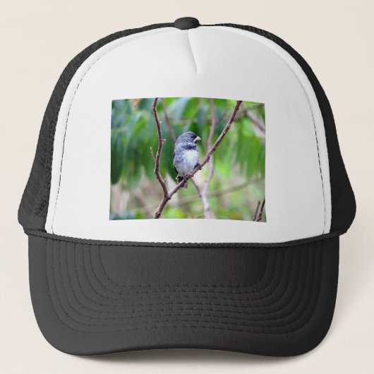 Casquette Oiseau bleu (Devant)