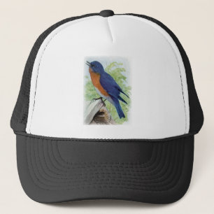 Casquette Oiseau bleu