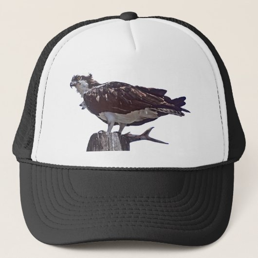 Casquette Oiseau de balbuzard (Devant)