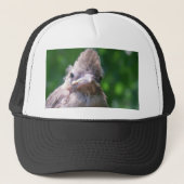 Casquette oiseau de bébé fâché (Devant)