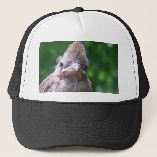 Casquette oiseau de bébé fâché (Devant)