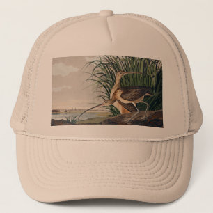 Casquette Oiseau de Courlis à long bec Audubon