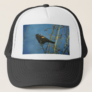 Casquette Oiseau noir à ailes rouges chantant