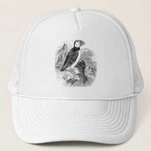 Casquette Oiseau vintage de macareux de 1800s - modèle