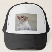 Casquette Oliver Twist Squirrel (Devant)