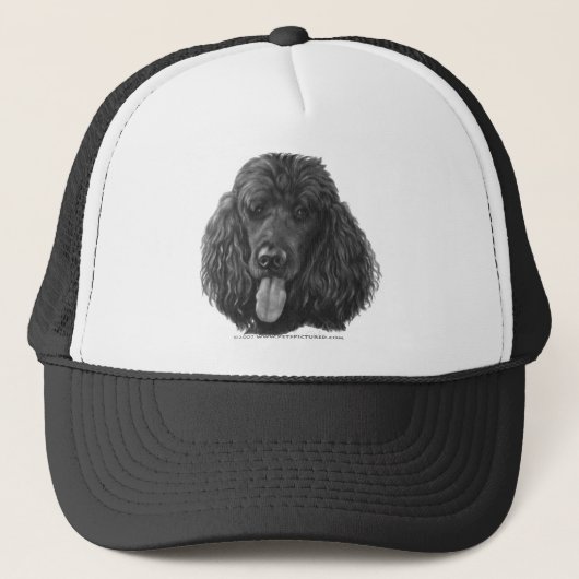Casquette Ombre, caniche standard de noir (Devant)