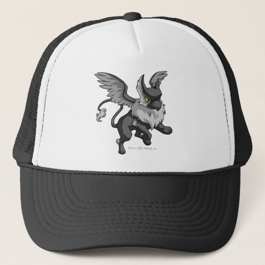 Casquette Ombre d'aire (Devant)