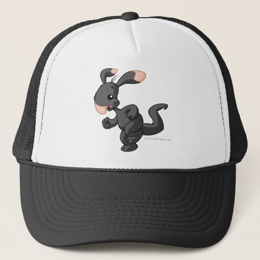 Casquette Ombre de Blumaroo (Devant)