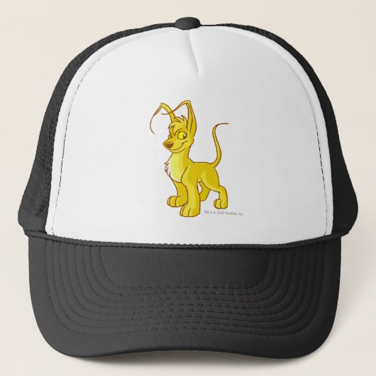 Casquette Or de Gelert (Devant)