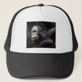 Casquette Orang-outan (Devant)